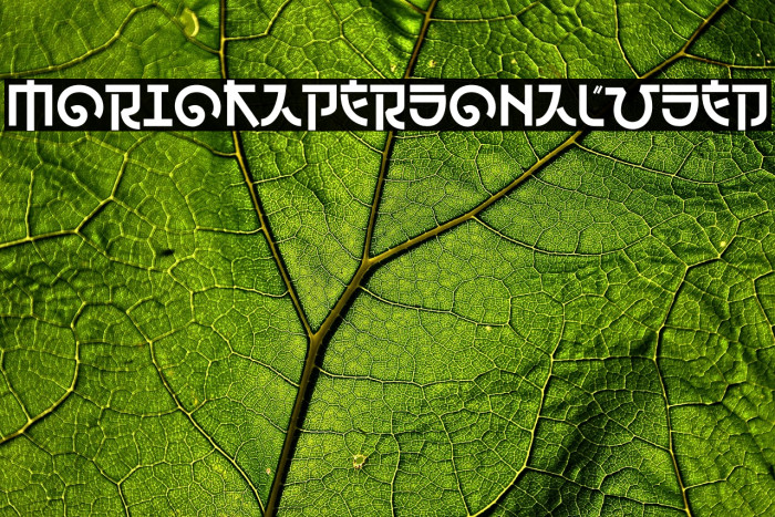 Morioka Personal Used Example 3