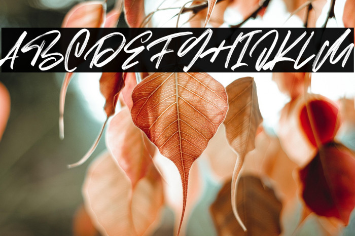 Moriss Ward Free Regular Example 3