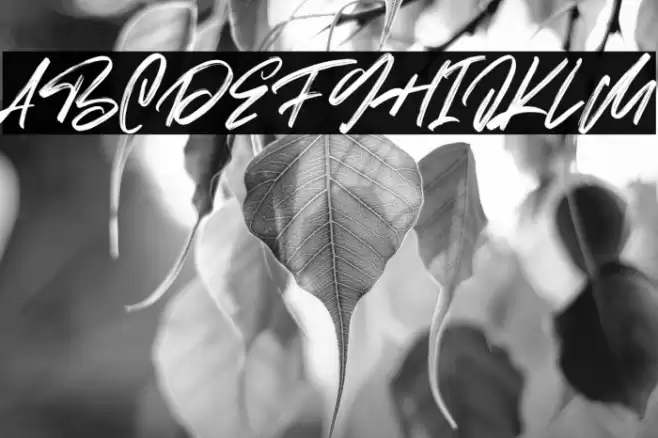 Moriss Ward Free Regular Font examples