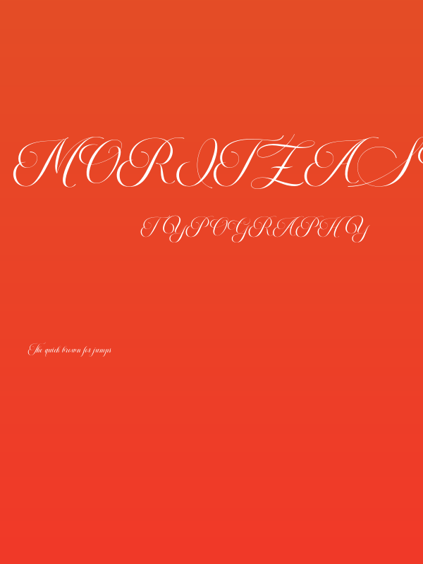 MoritzaScript Poster