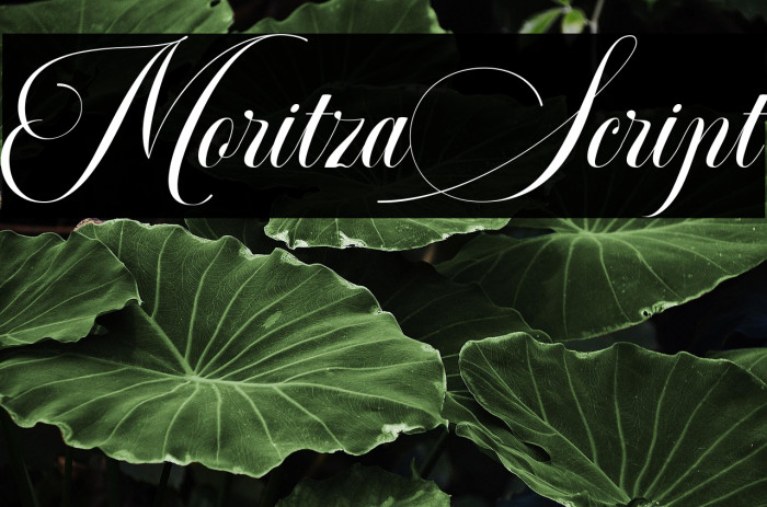 MoritzaScript Example 1