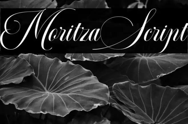 MoritzaScript Font examples