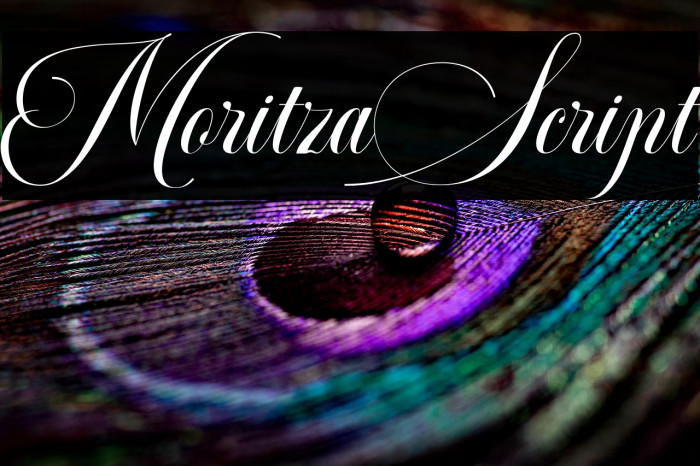 MoritzaScript Example 2