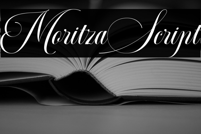 MoritzaScript Example 3