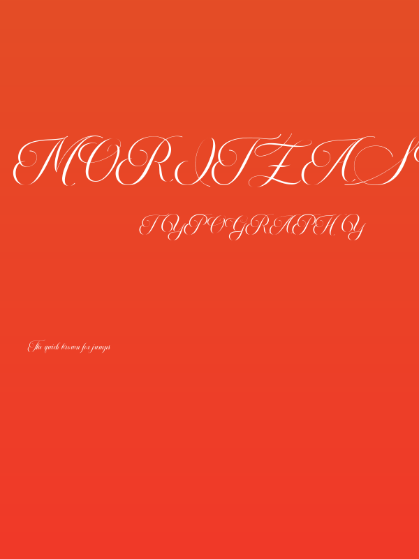 MoritzaScript Poster