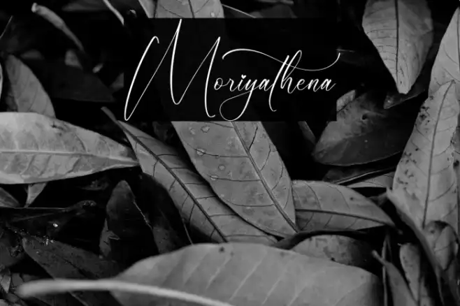 Moriyathena Example 1