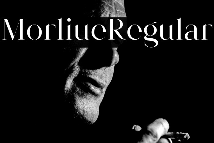 Morlique Regular Example 1