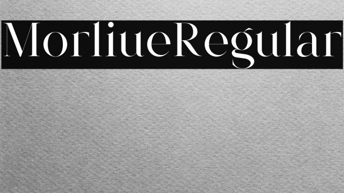 Morlique Regular Example 2