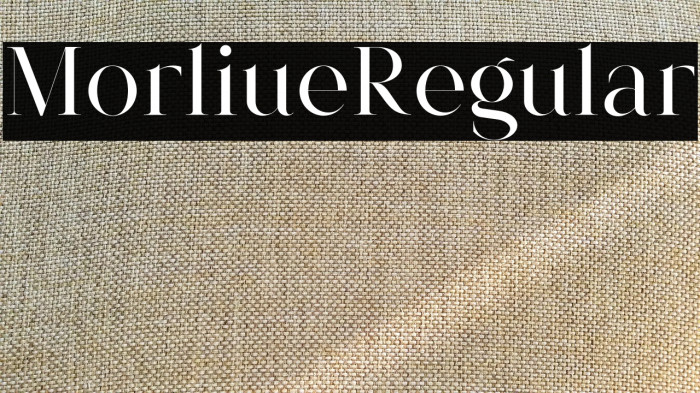 Morlique Regular Example 3