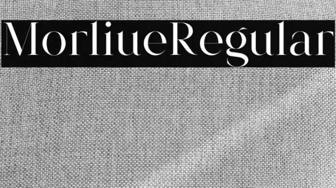 Morlique Regular Example 3