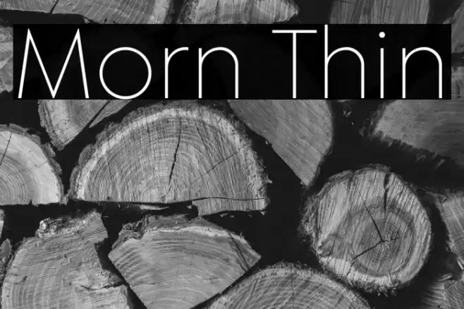 Morn Thin Font examples