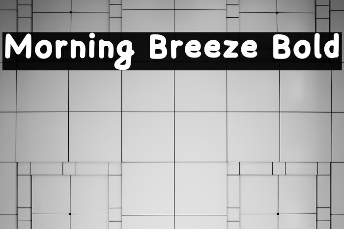 Morning Breeze Bold Example 1