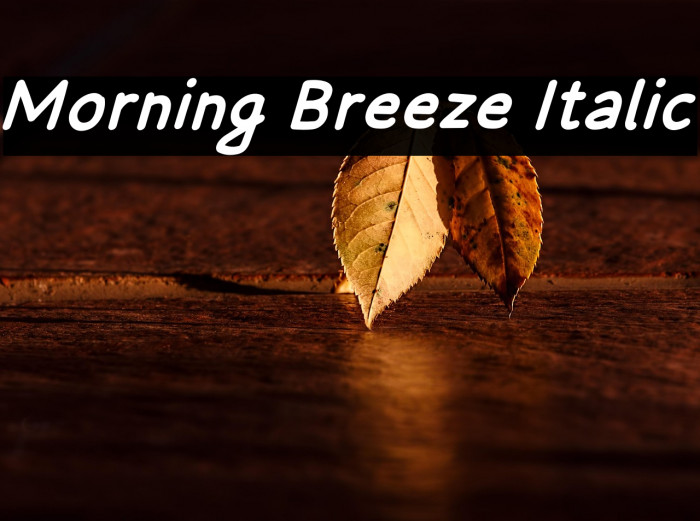 Morning Breeze Italic Example 2