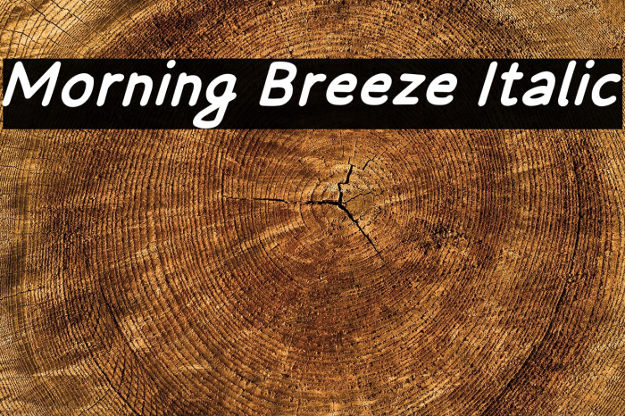 Morning Breeze Italic Example 3