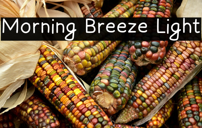 Morning Breeze Light Example 1