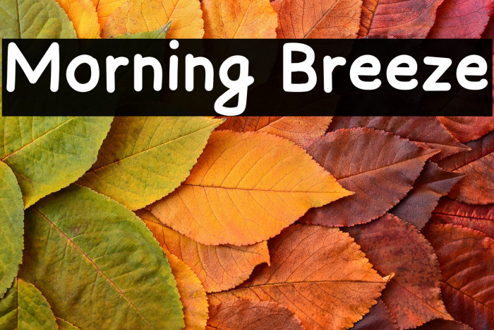 Morning Breeze Example 1