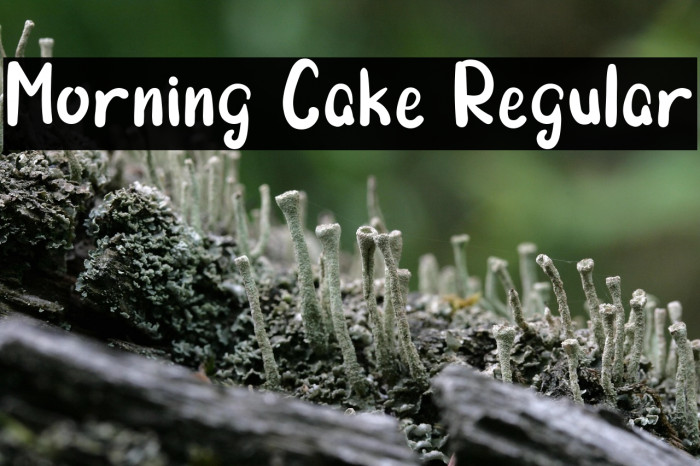 Morning Cake Regular Example 2