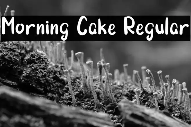 Morning Cake Regular Example 2