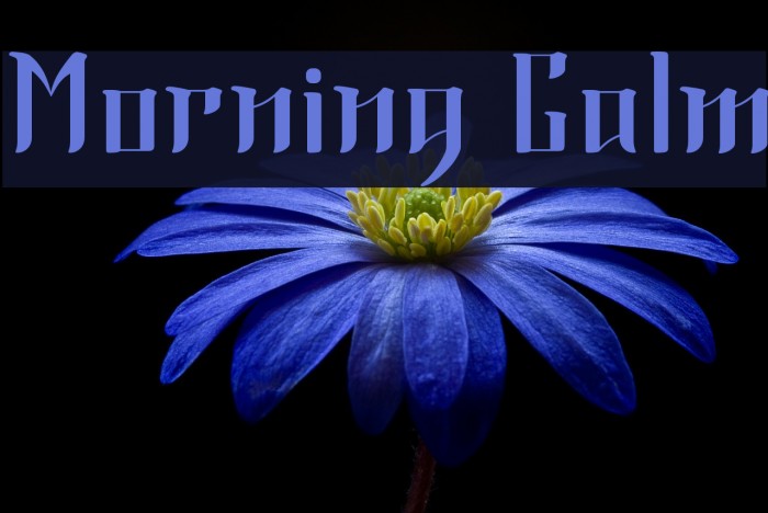 Morning Calm Example 2