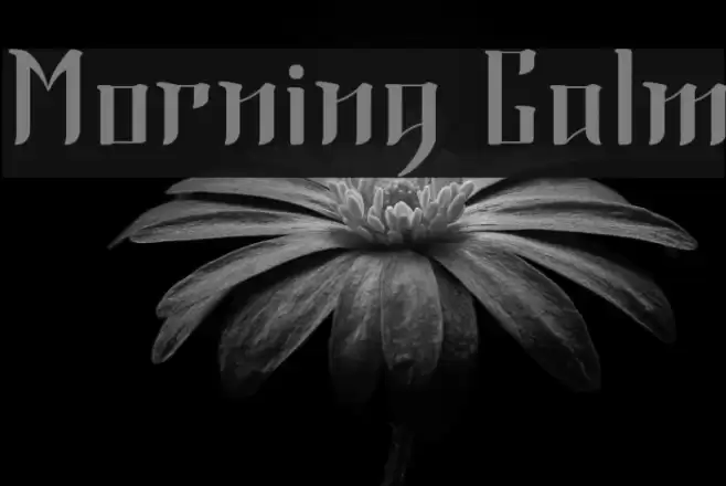 Morning Calm Font examples