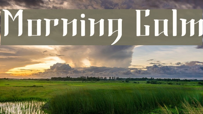 Morning Calm Example 3