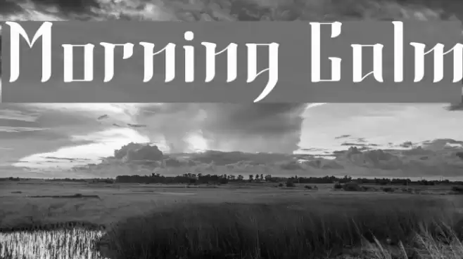 Morning Calm Font examples