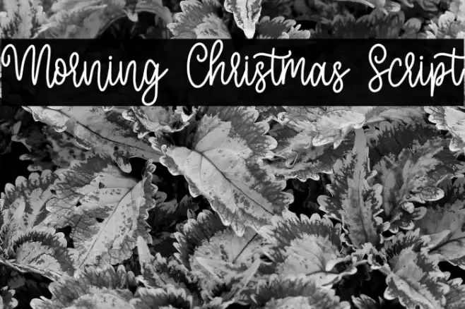 Morning Christmas Script Font examples