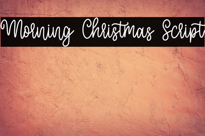 Morning Christmas Script Example 2