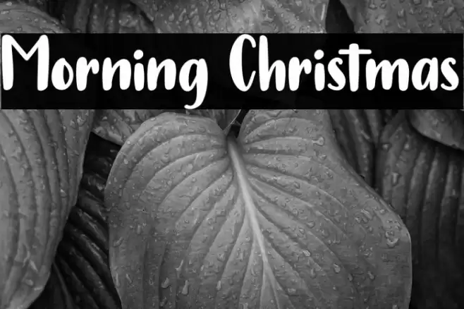 Morning Christmas Font examples