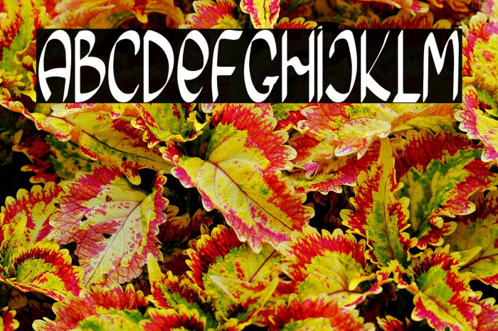 Morning Friday Example 1