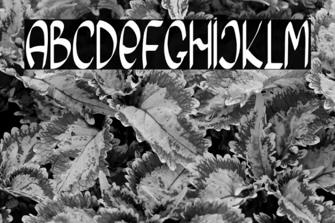 Morning Friday Font examples