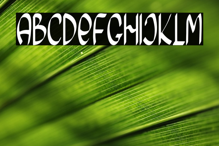 Morning Friday Example 1