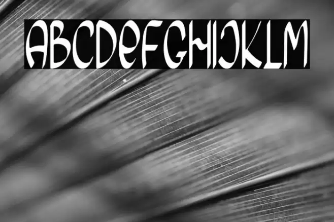 Morning Friday Font examples