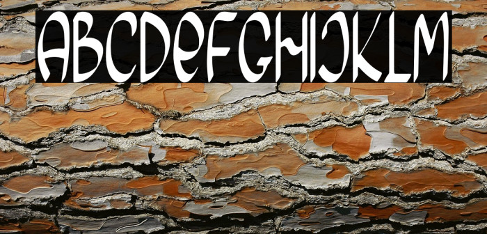 Morning Friday Example 3