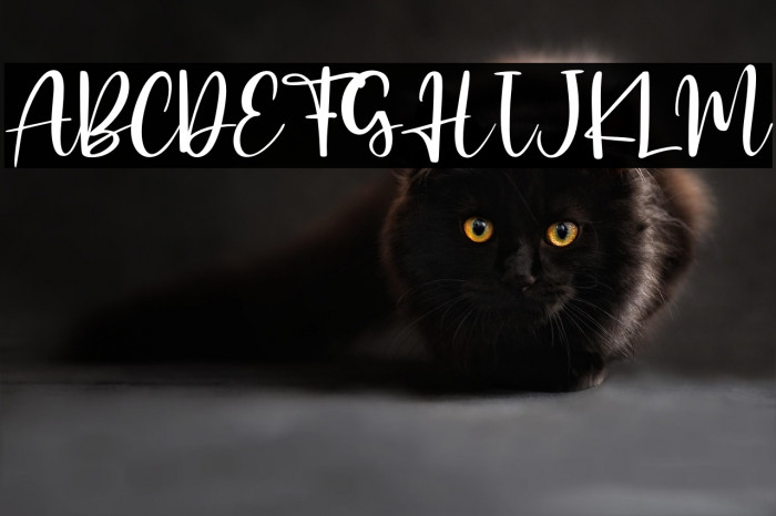 Morning Girls - Personal Use Example 1