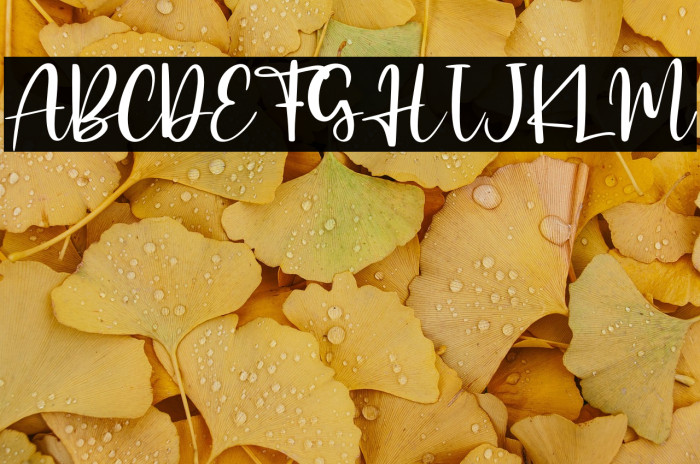 Morning Girls - Personal Use Example 2