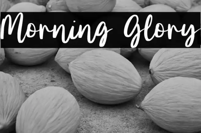 Morning Glory Font examples