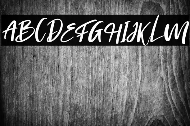 Morning Italic Font examples