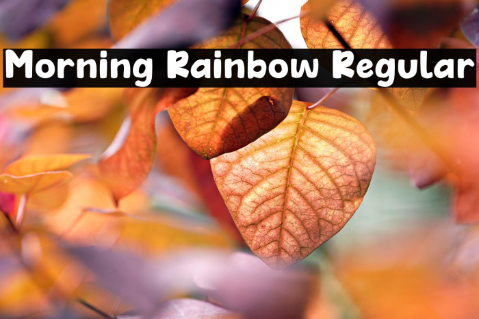 Morning Rainbow Regular Example 1