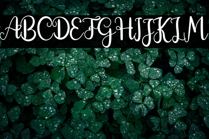 Morning Signature Example 1