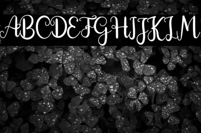 Morning Signature Font examples