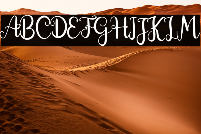 Morning Signature Example 2