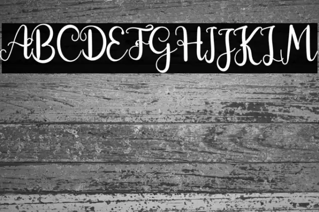 Morning Signature Font examples