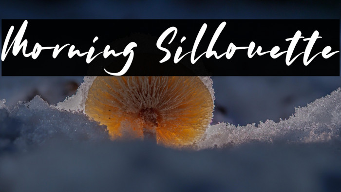 Morning Silhouette Example 3