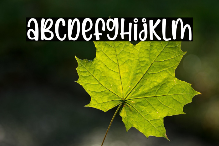 Morning Spirit Example 3