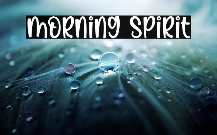 Morning Spirit Example 2