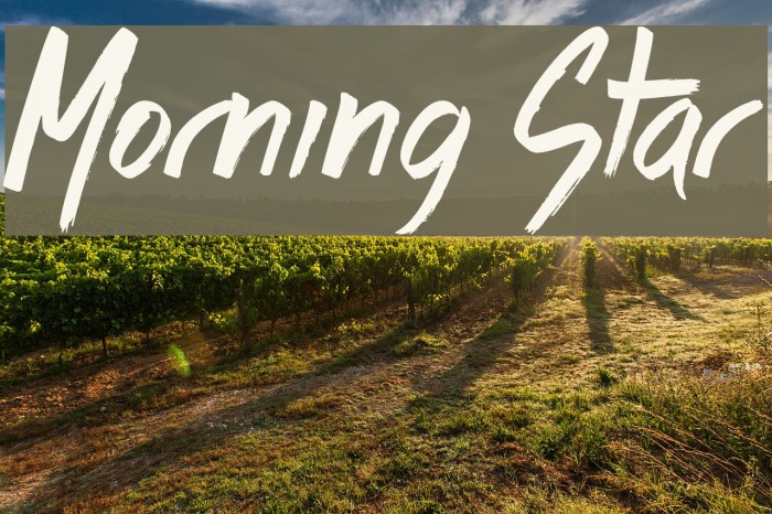 Morning Star Font examples