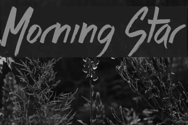 Morning Star Font examples
