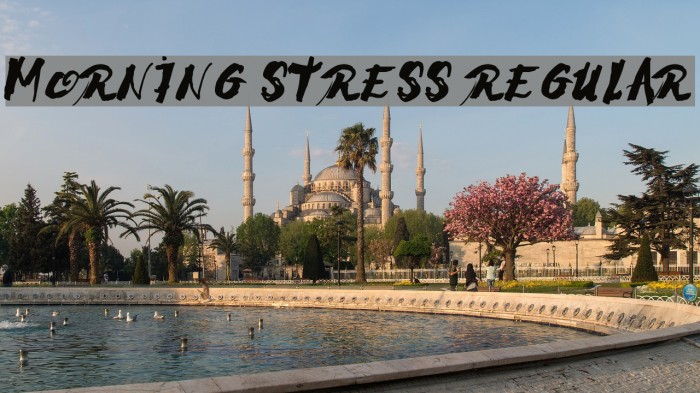 Morning Stress Regular Font examples