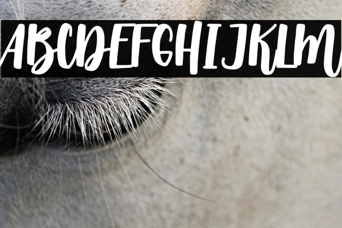 Morning Sweety Example 1